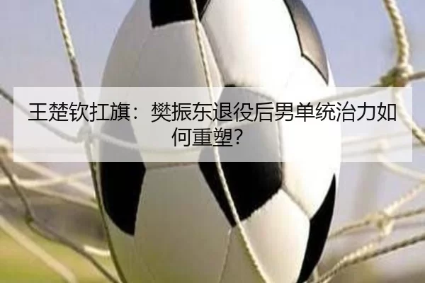 王楚钦扛旗：樊振东退役后男单统治力如何重塑？